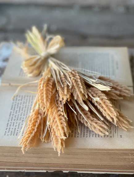 Tassel Grass Bundle | 13.5" PREORDER