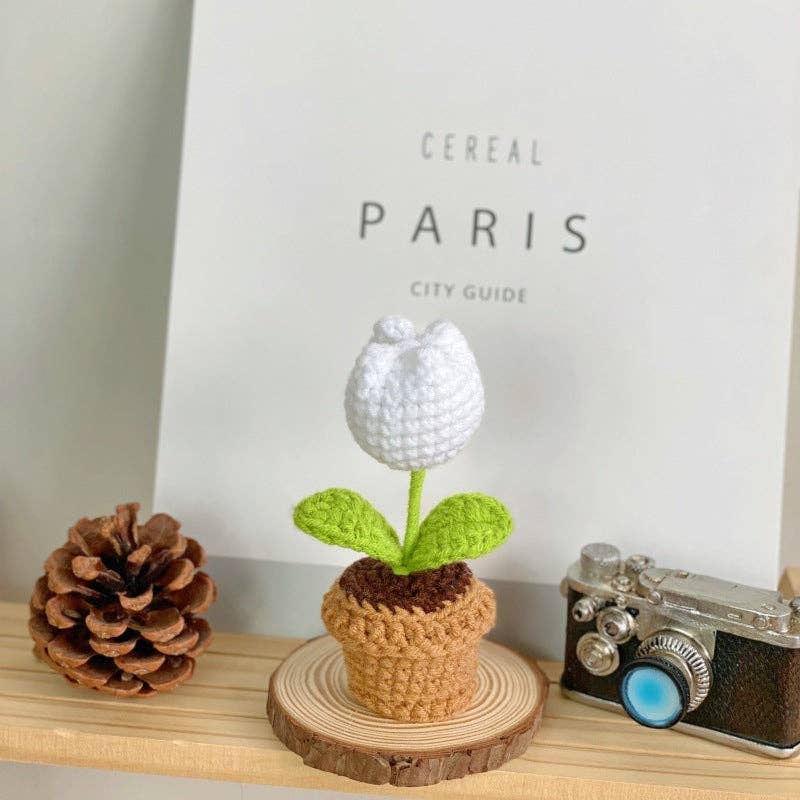Crochet Potted Flower Gift Mini Home Decor
