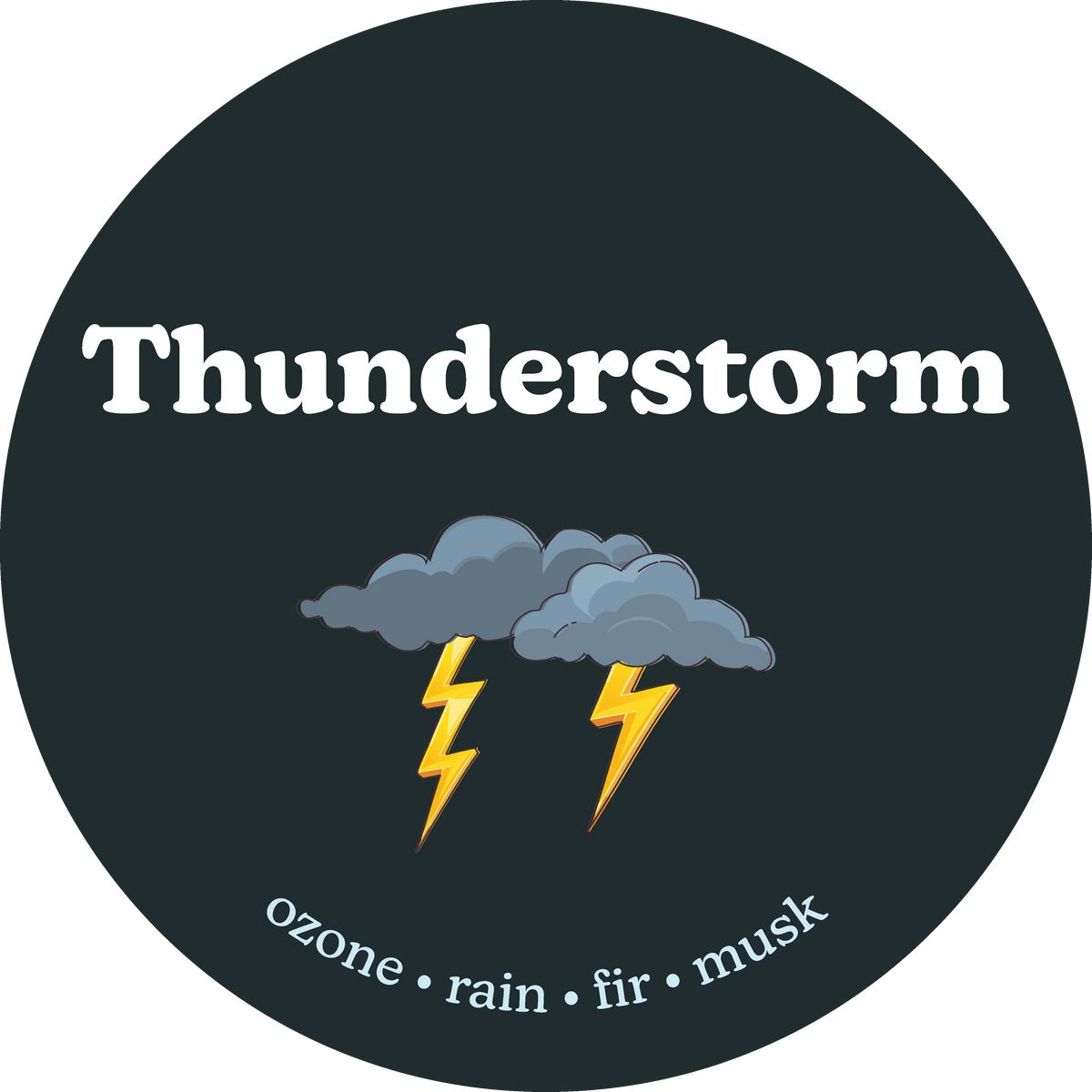 Thunderstorm Wax Melts