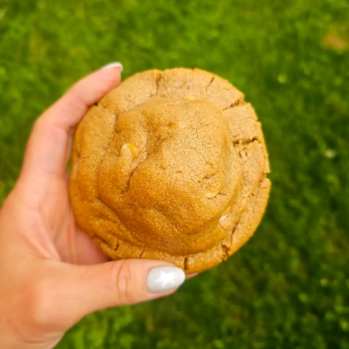 Vanilla Chai Latte Cookie