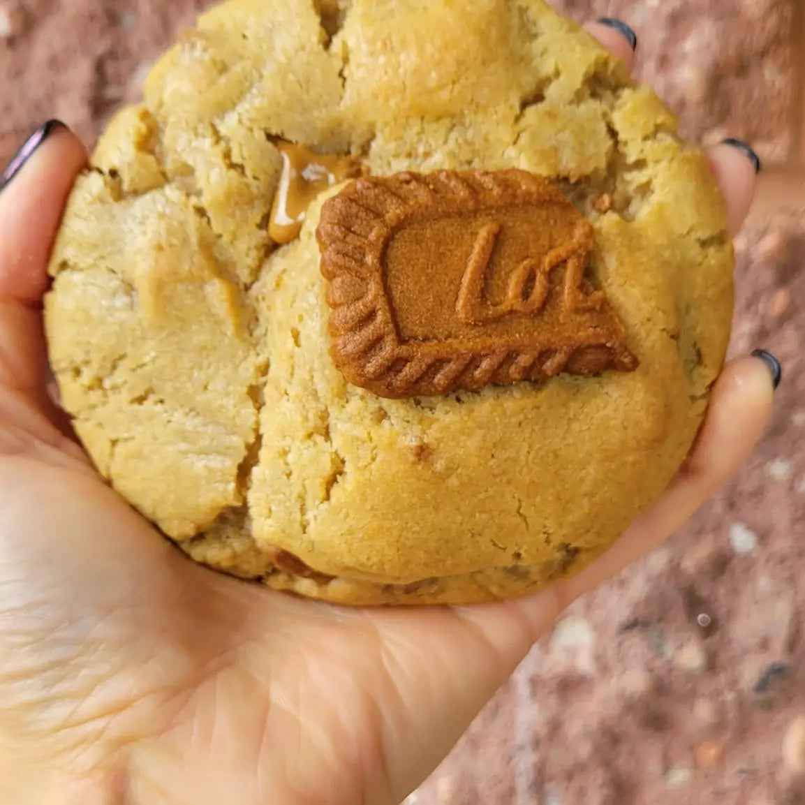 Stuffed Cookie Butter Cookie