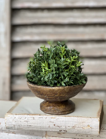 New England Boxwood Half Sphere | 7" PREORDER