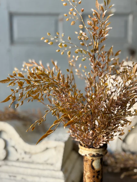 Ambermist Sage Bush | 19.5 PREORDER