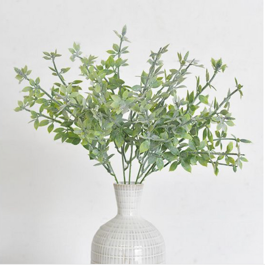 5 STEM LEAF BUNCH