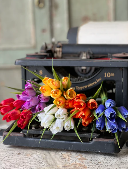 Teeny Tiny Tulips 17" PREORDER