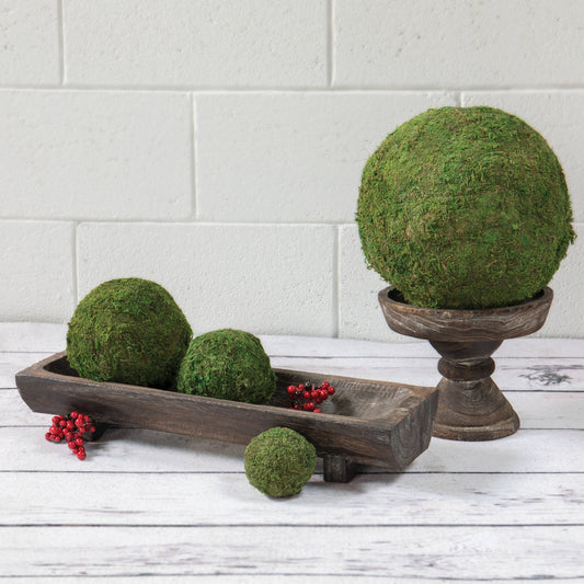 Round Moss Ball